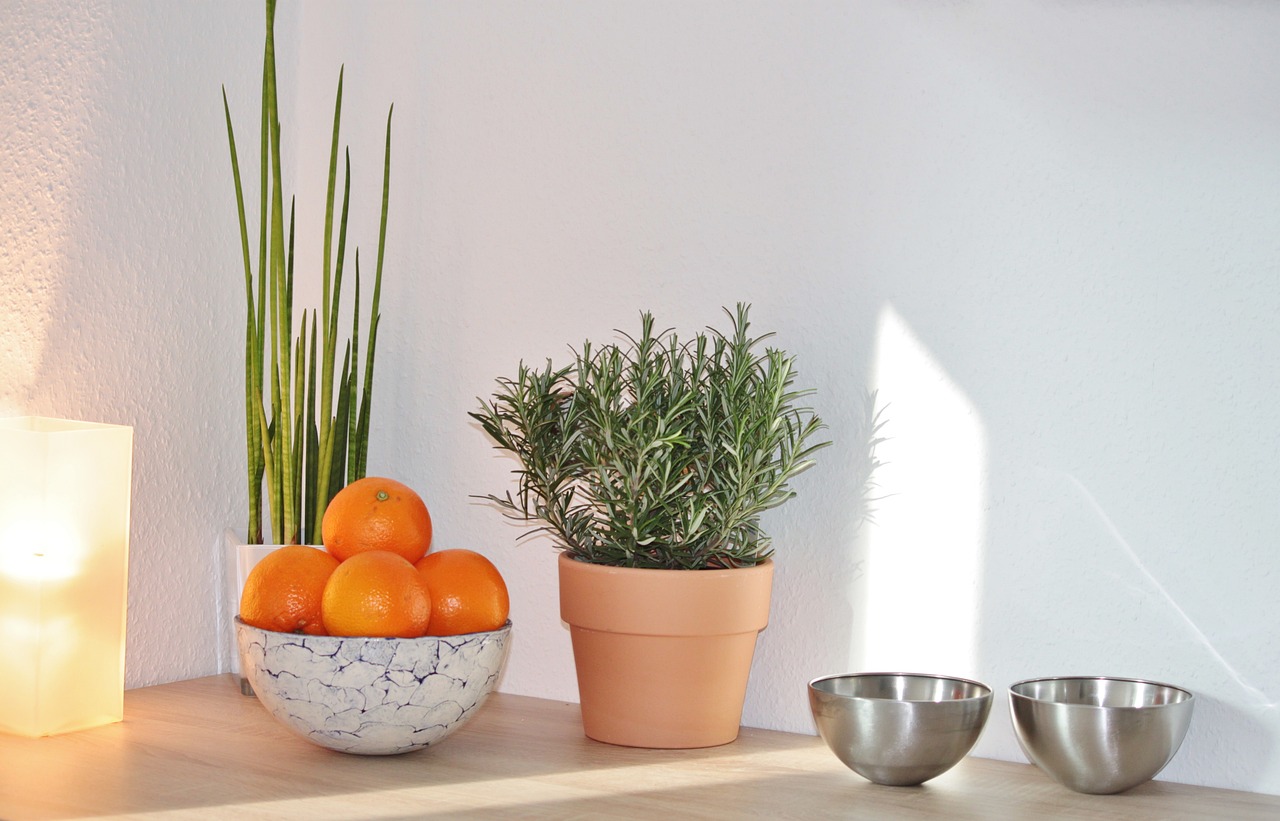 Make Your Kitchen Unique: DIY Wooden Bread Bin